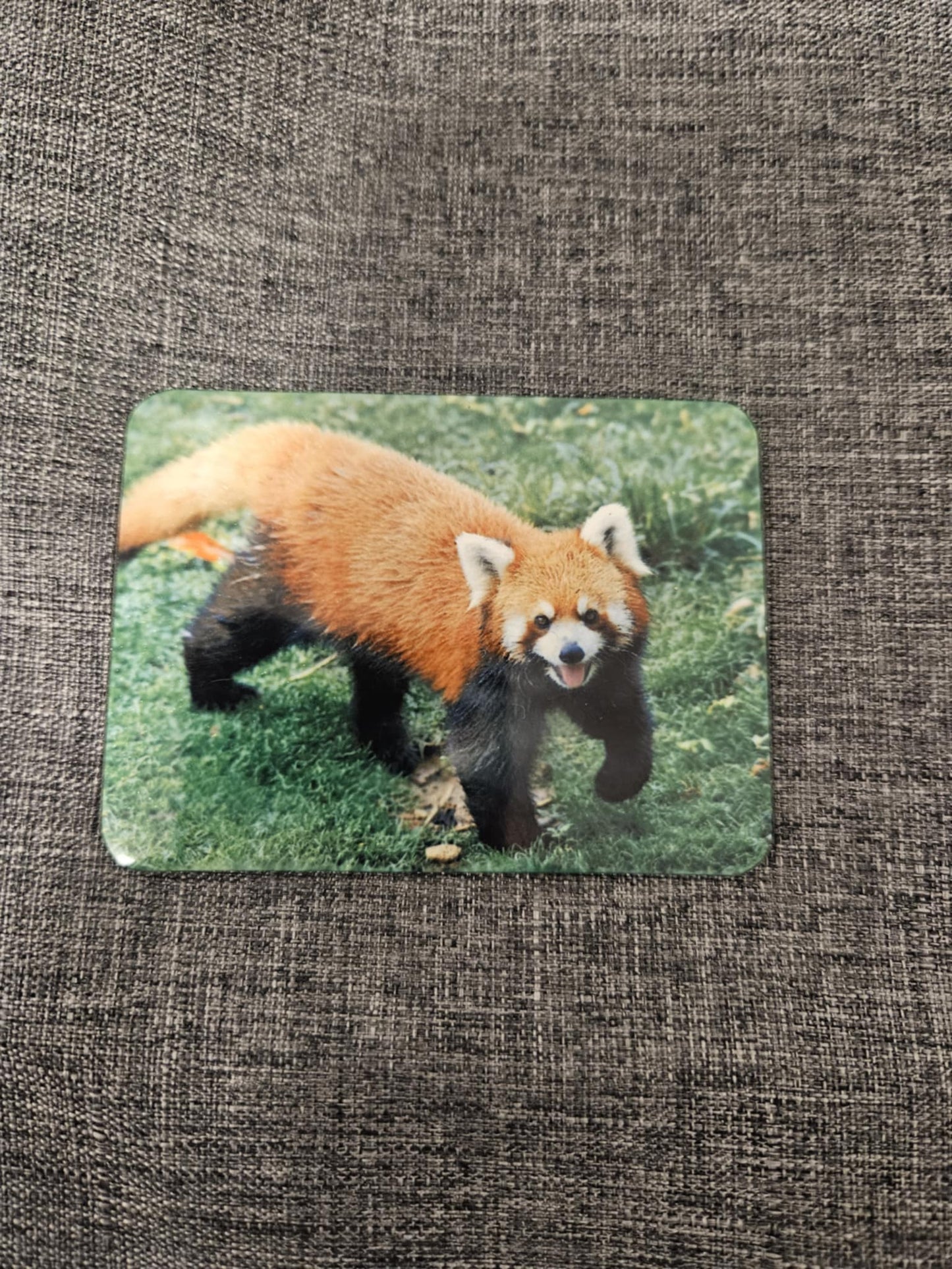 Magnets